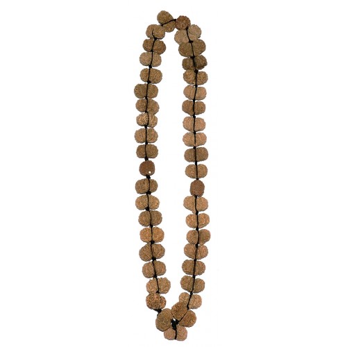 Gaurisankhar Rudrakshya Mala VERY RARE (27 Beads Gaurisankhar and 1pce 5 Faces) original from Nepal, very powerful- Medium (50 mm) Gaurisankhar Rudrakshya Mala VERY RARE (27 Beads Gaurisankhar and 1pce 5 Faces) original from Nepal, very powerful- Medium (50 mm)