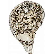 Ganesh Carving Conch Shell(SANKHA), powerful ancient healing (therapeutic) instrument, Hand work-White Color - Medium Size