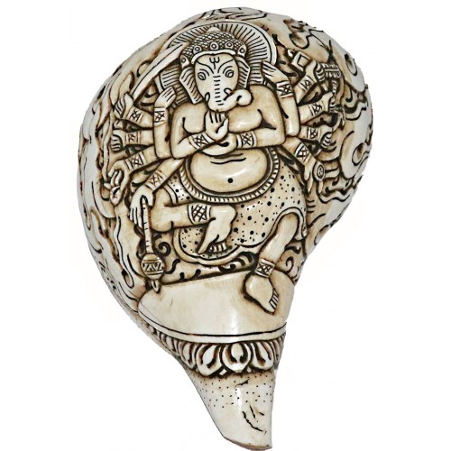 Ganesh Carving Conch Shell(SANKHA), powerful ancient healing (therapeutic) instrument, Hand work-White Color - Medium Size